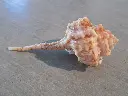 DSCN1397.webp