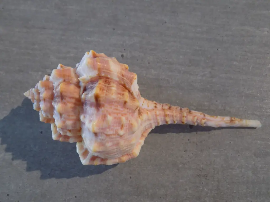 DSCN1398.webp