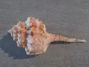 DSCN1398.webp