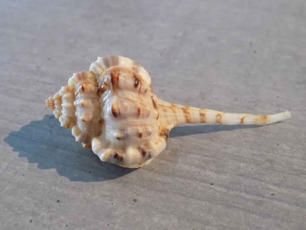 DSCN1400.webp