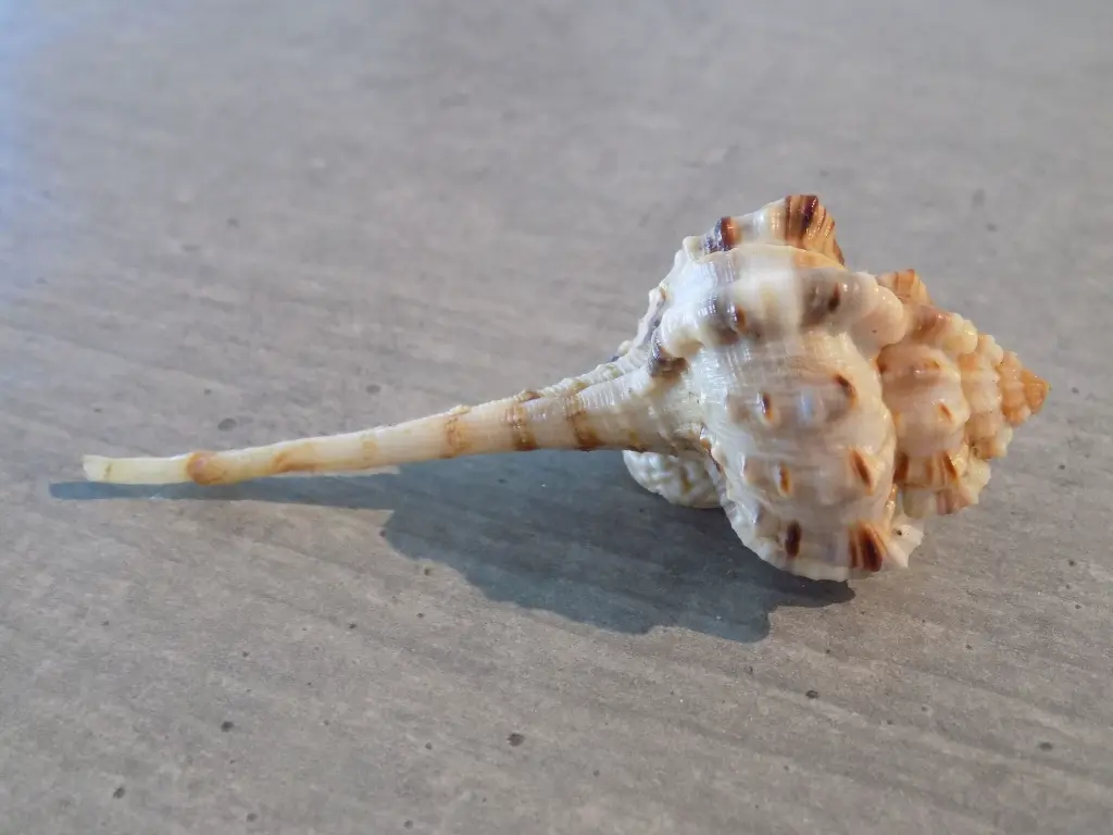 DSCN1401.webp