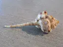 DSCN1401.webp