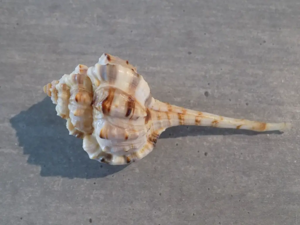 DSCN1402.webp