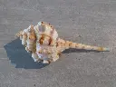 DSCN1402.webp