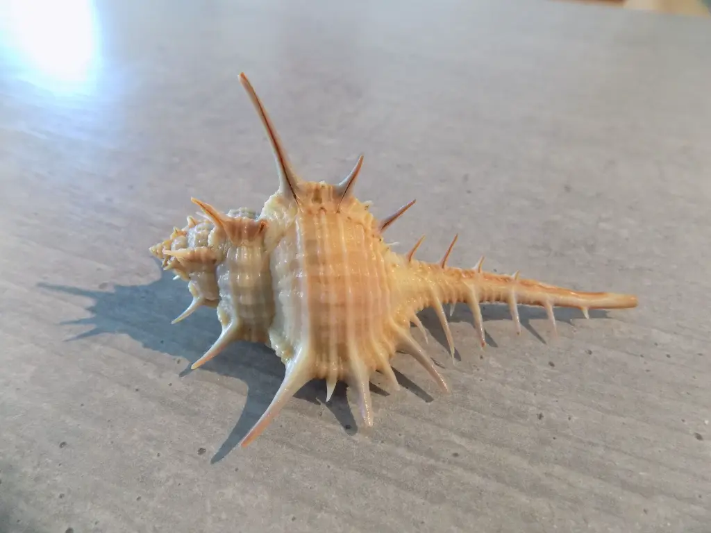 DSCN1404.webp
