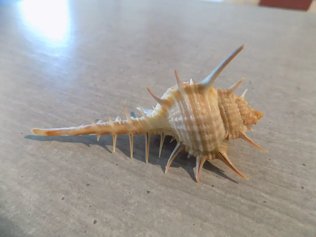 DSCN1405.webp