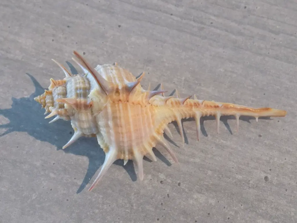 DSCN1406.webp