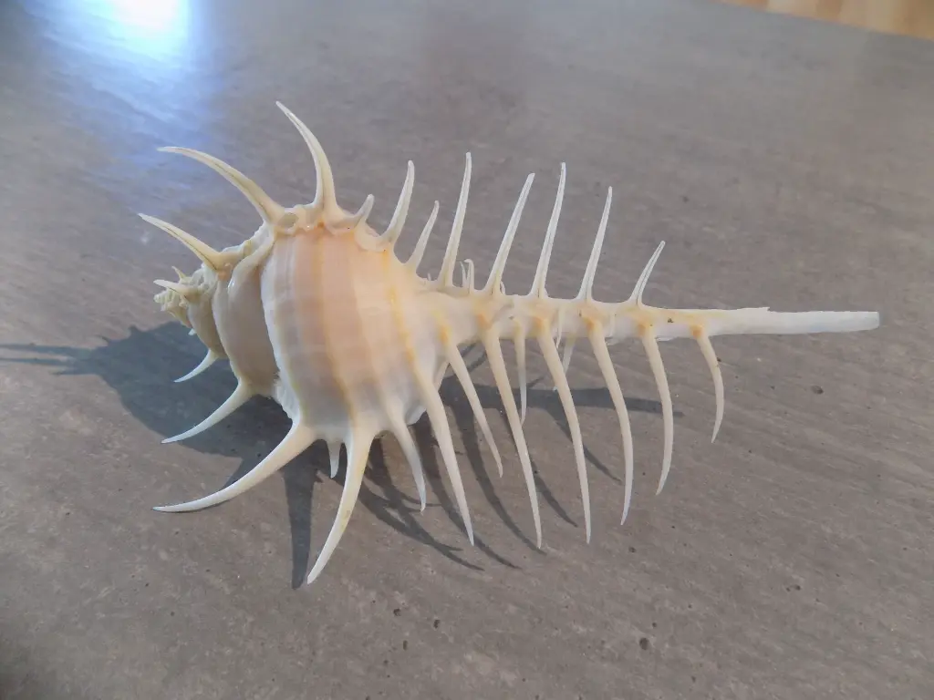 DSCN1408.webp