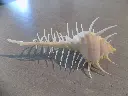 DSCN1409.webp