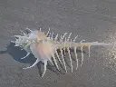DSCN1410.webp