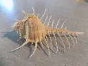 DSCN1416.webp