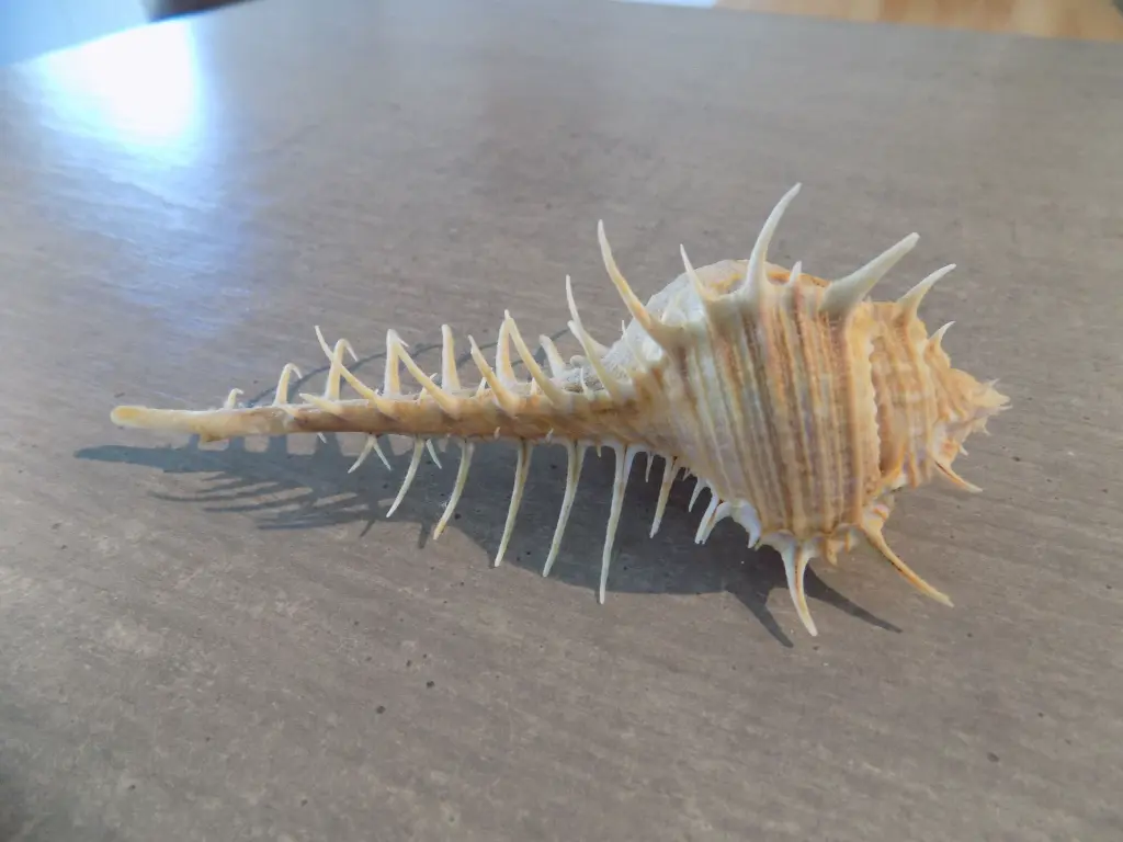 DSCN1417.webp