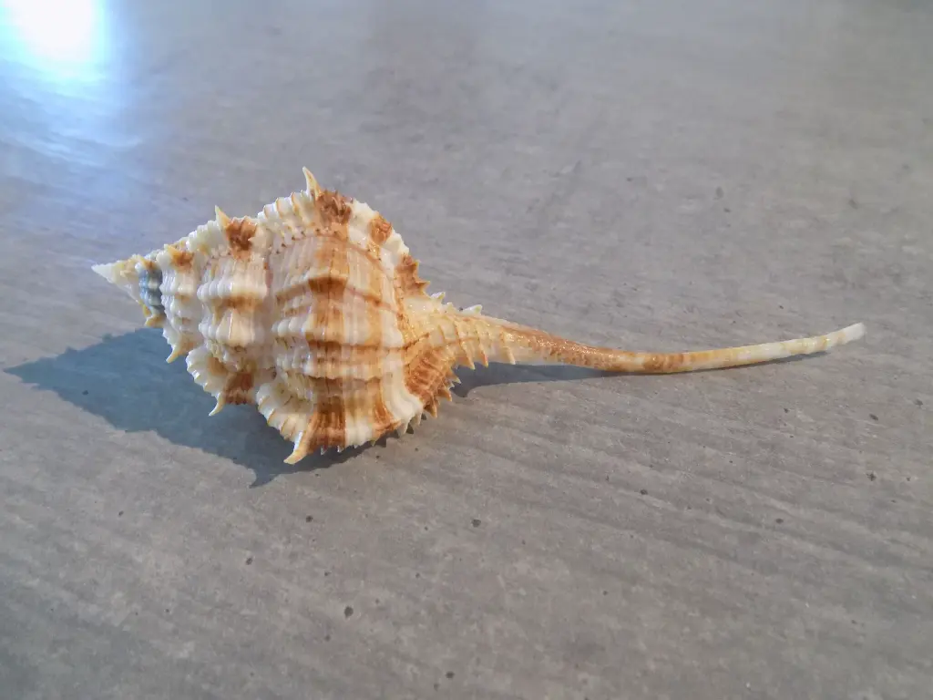 DSCN1424.webp
