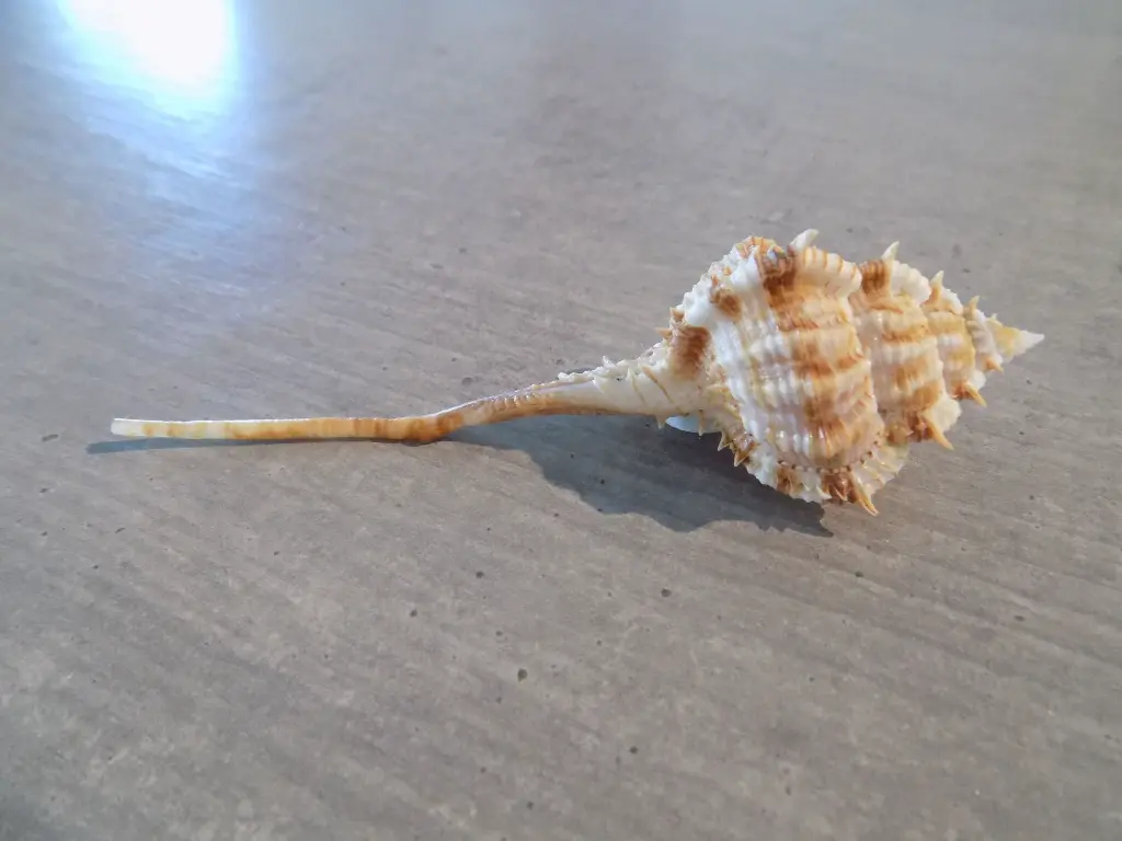 DSCN1425.webp