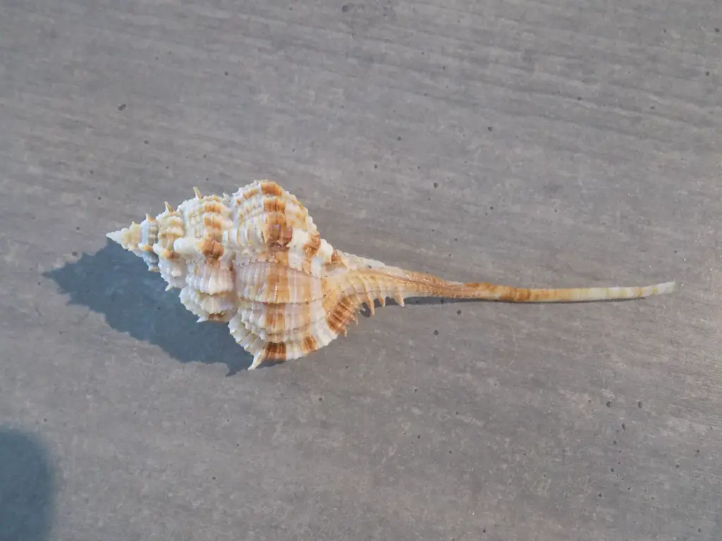 DSCN1426.webp