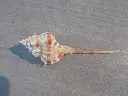 DSCN1426.webp