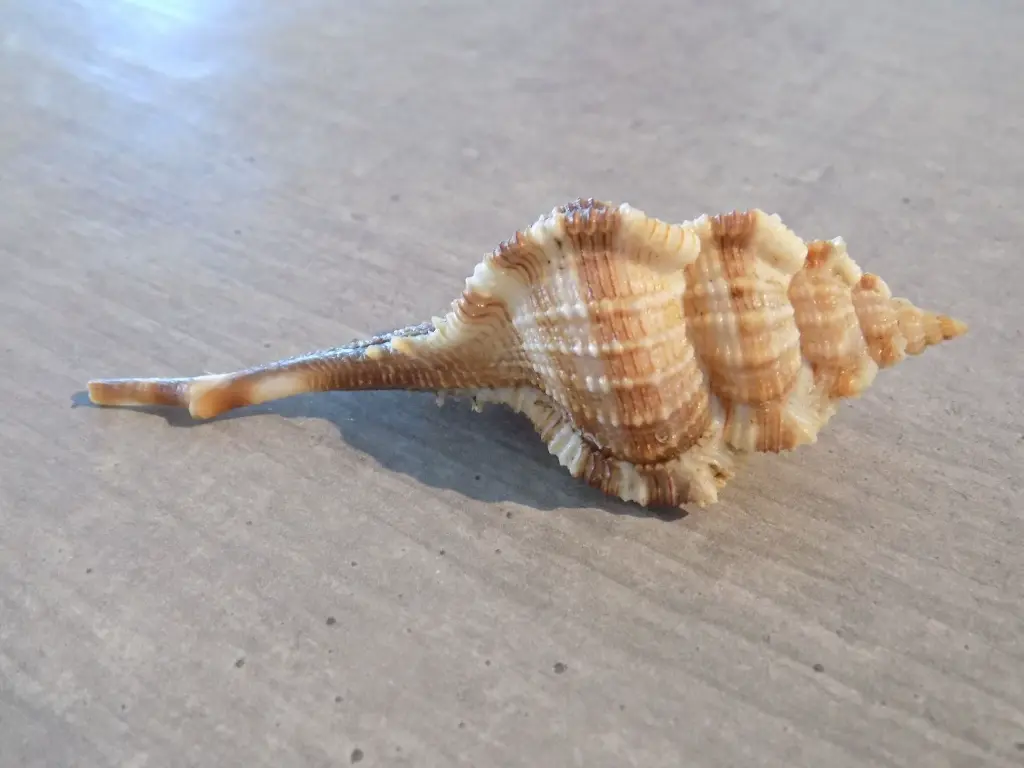 DSCN1429.webp