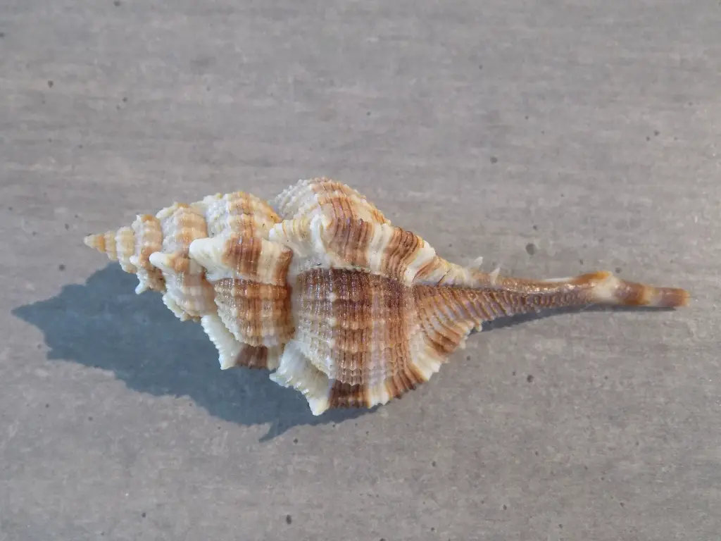 DSCN1430.webp