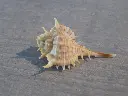 DSCN1434.webp