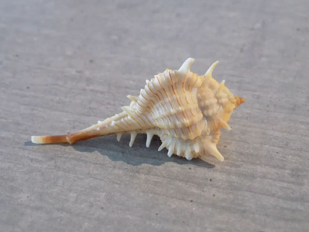 DSCN1435.webp
