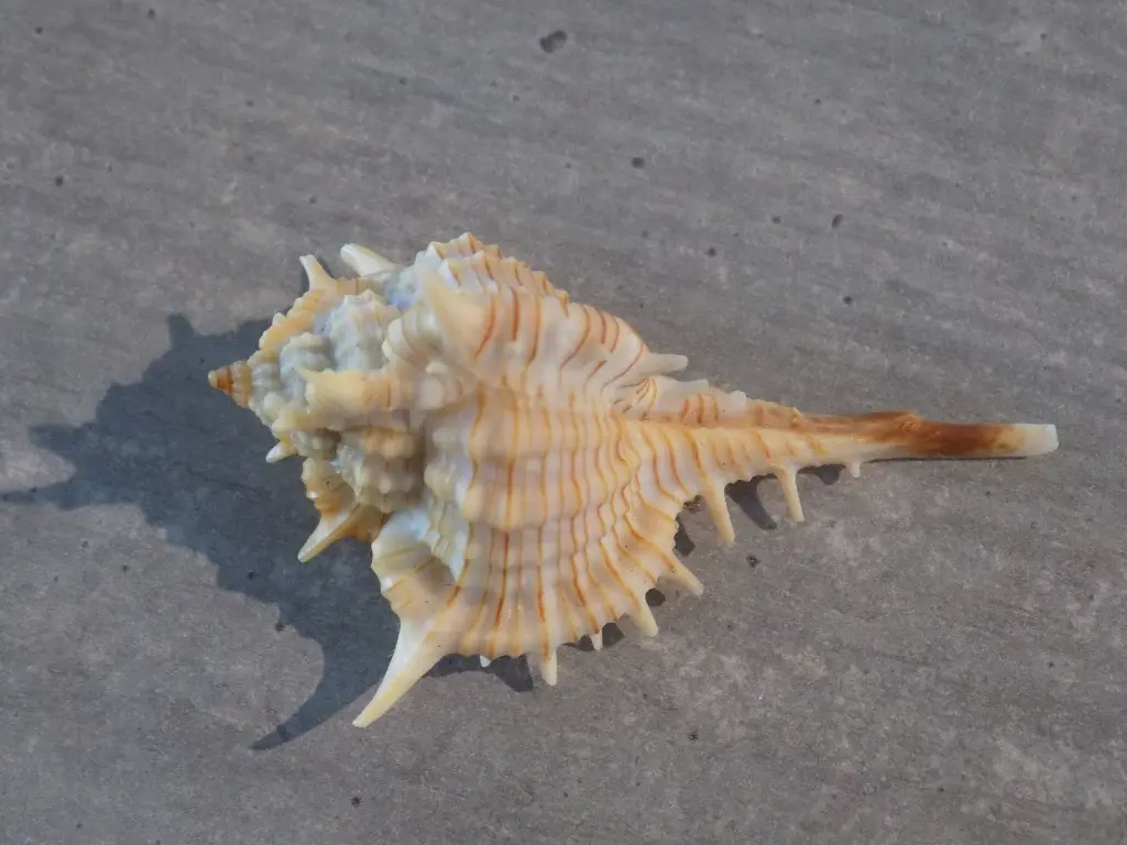 DSCN1436.webp
