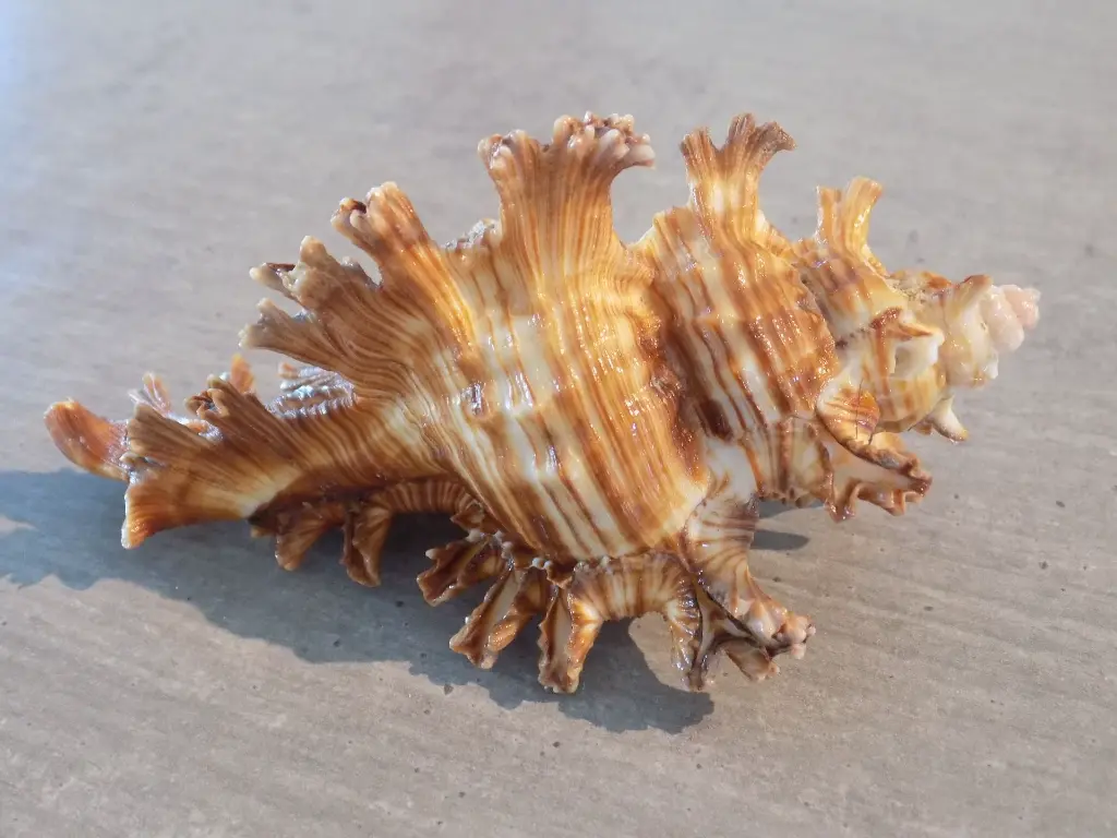 DSCN1439.webp