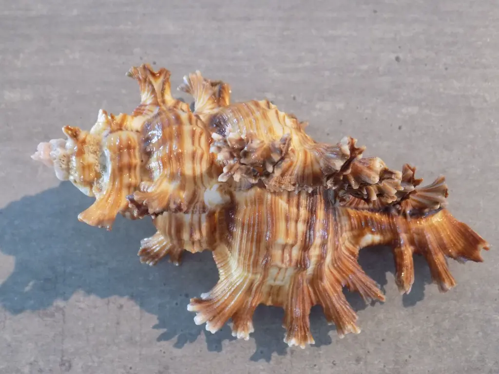 DSCN1440.webp