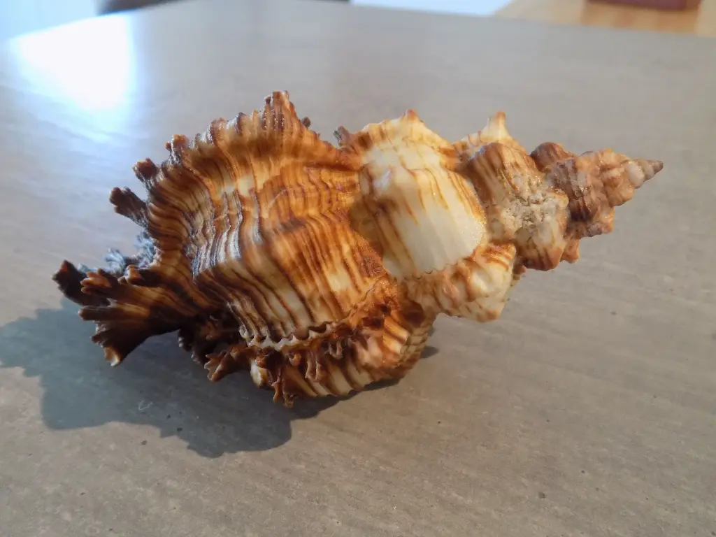 DSCN1447.webp