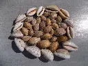 DSCN1461.webp