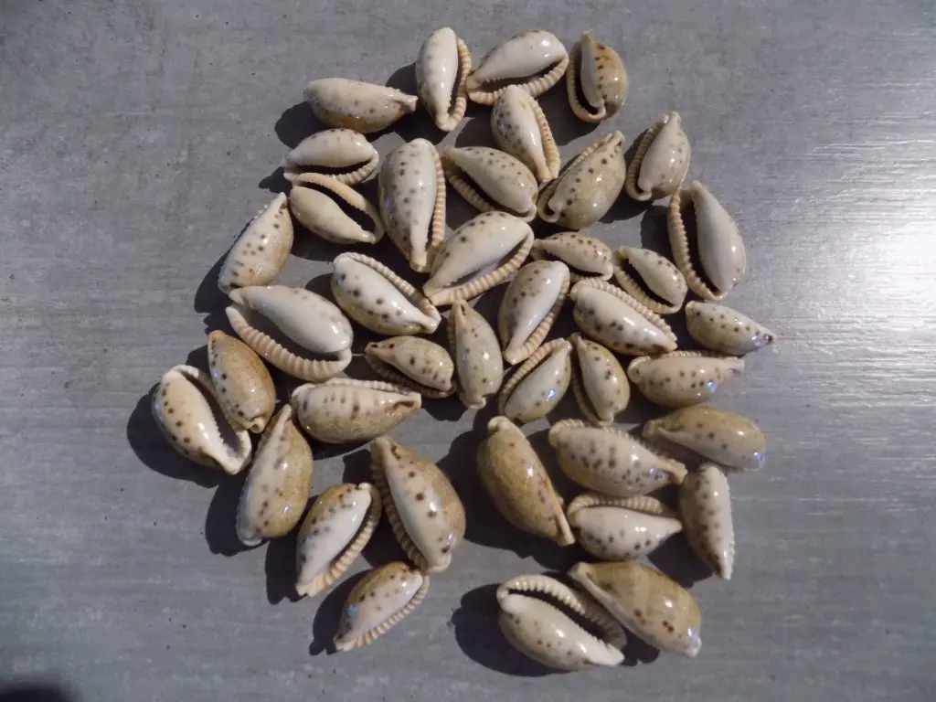 DSCN1463.webp