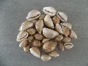 DSCN1471.webp