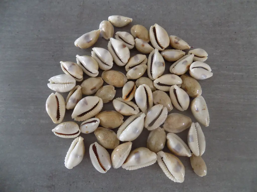 DSCN1473.webp