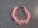 DSCN1479.webp