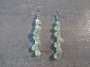 DSCN1489.webp