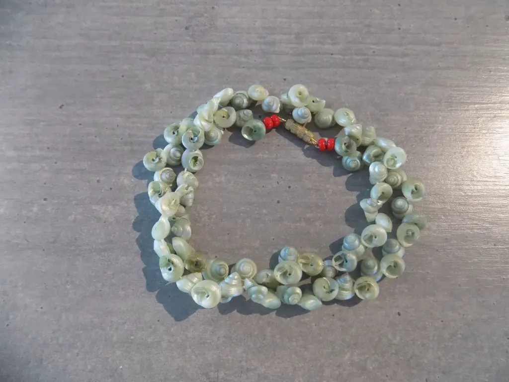 DSCN1499.webp