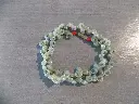 DSCN1499.webp