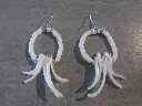 DSCN1503.webp