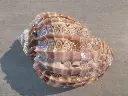 DSCN1540.webp