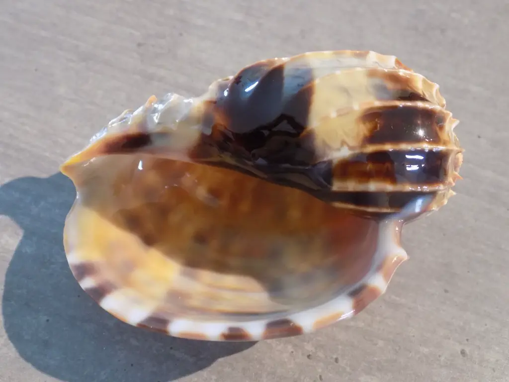 DSCN1544.webp