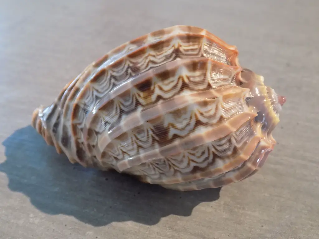 DSCN1547.webp