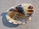 DSCN1548.webp