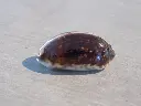 DSCN1568.webp