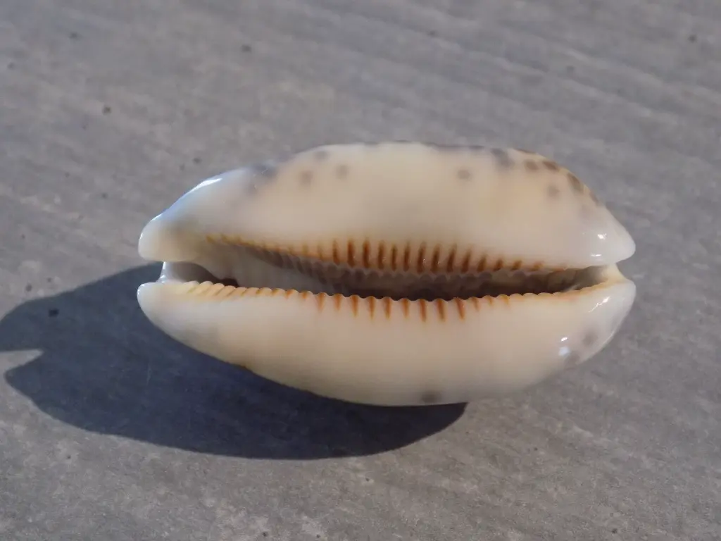 DSCN1569.webp