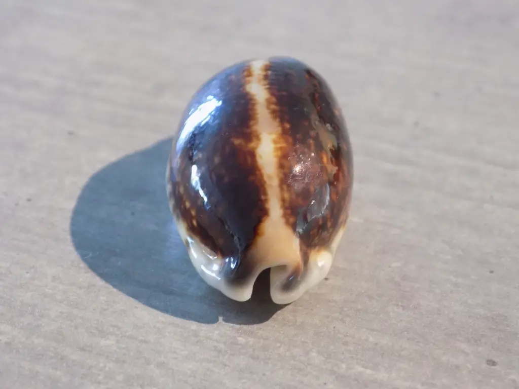 DSCN1570.webp