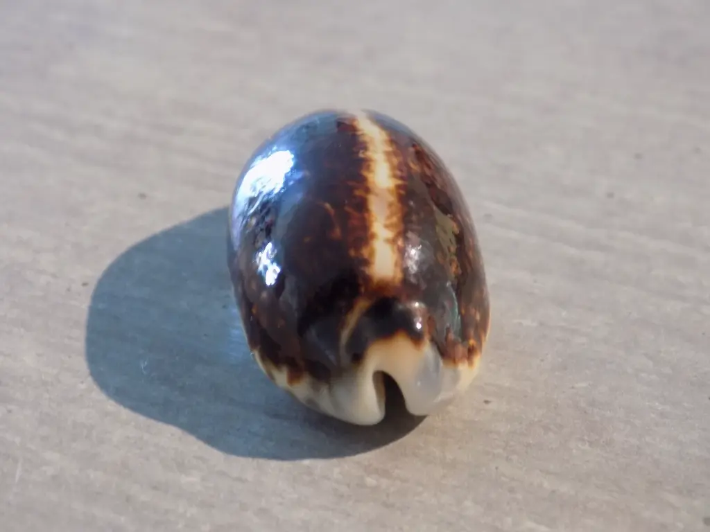 DSCN1571.webp