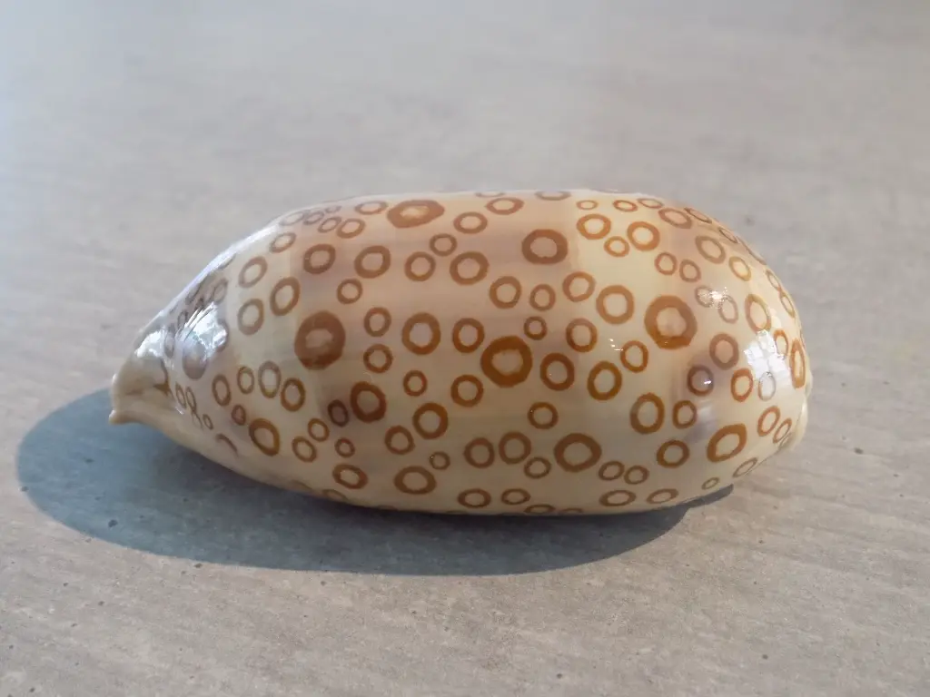 DSCN1580.webp