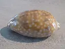 DSCN1591.webp