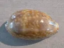 DSCN1593.webp