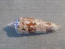 DSCN2314.webp