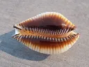 DSCN2380.webp